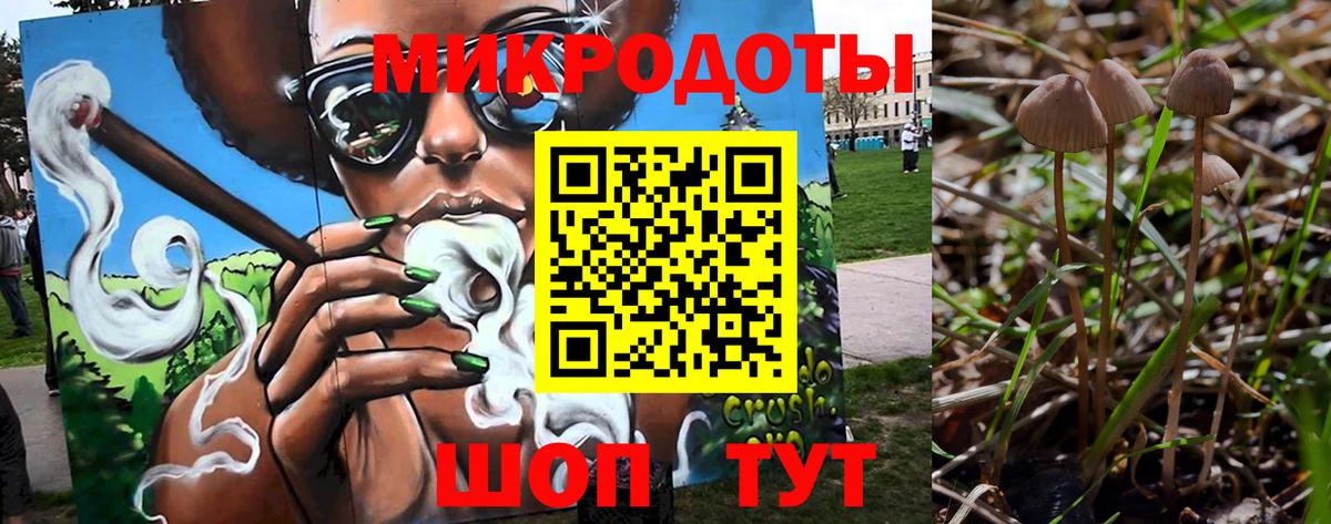 Галлюциногенные грибы мицелий Орск